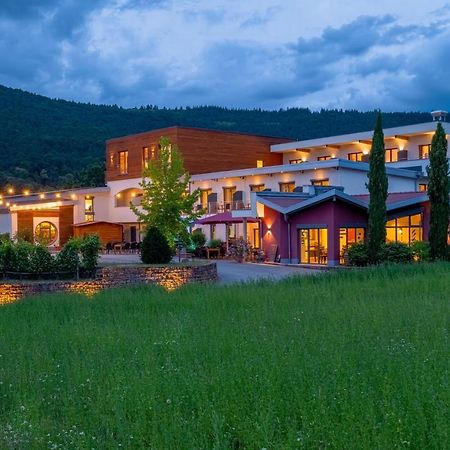 Main-Vinotel Weingut Helmstetter ビュルクシュタット エクステリア 写真
